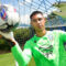 Sheffield Wednesday, Devis Vasquez,