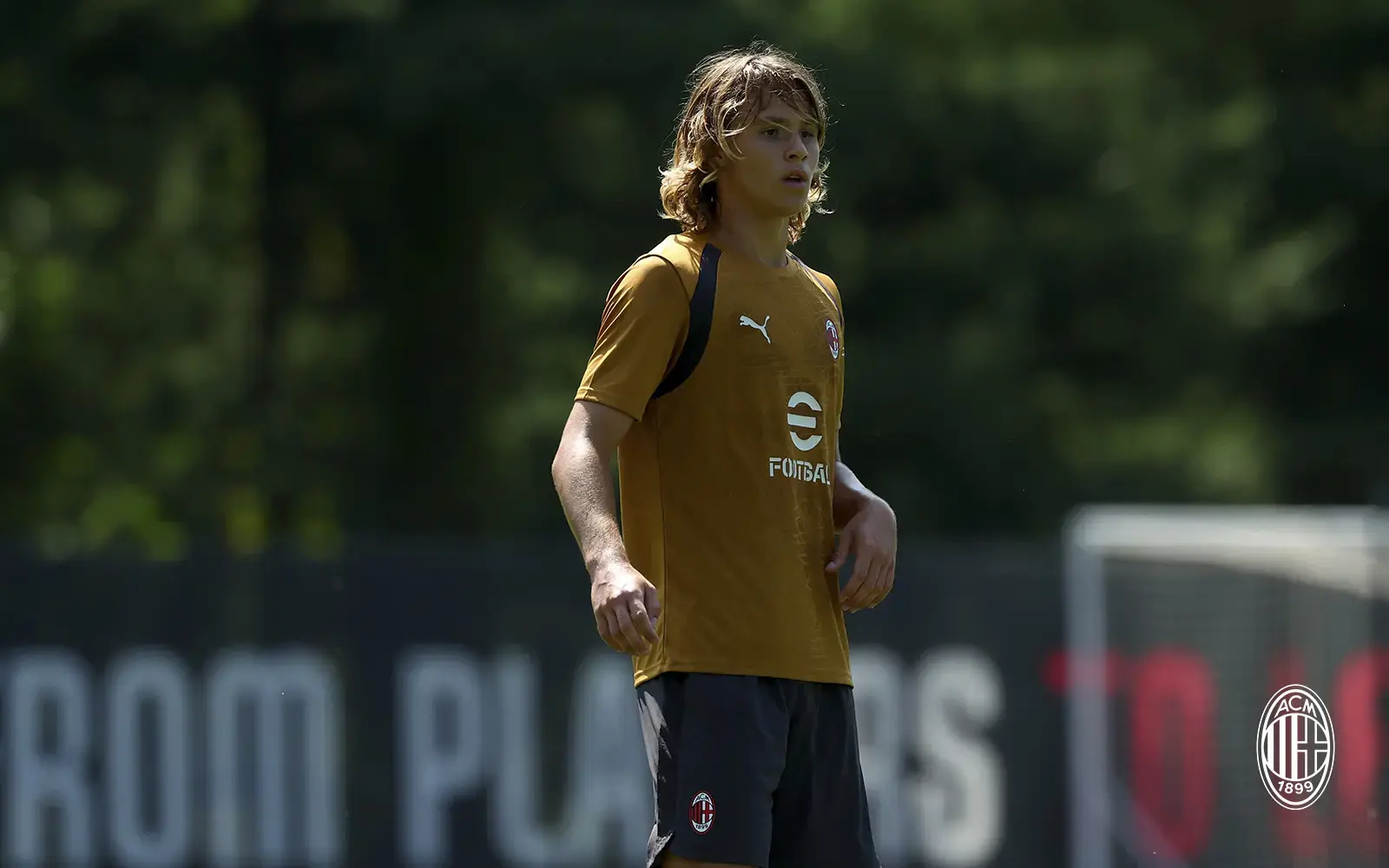 Christian Comotto